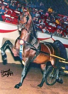 Obrazek